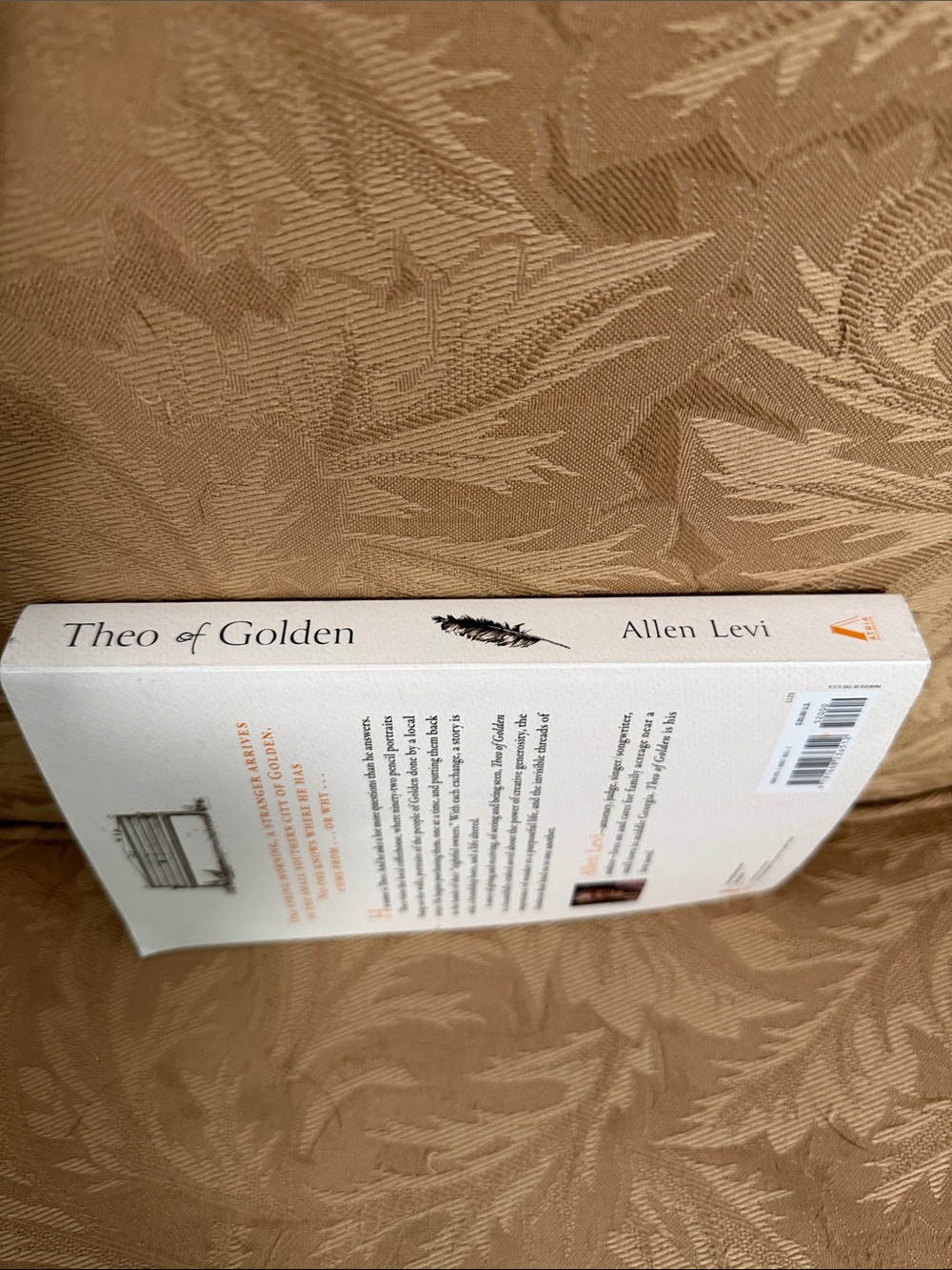 Theo of Golden by Allen Levi - a novel - Picture 2 of 5